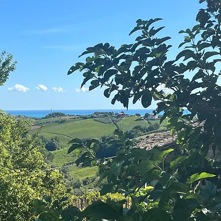 Vallely La Collina Sul Mare D'abruzzo ベッド・アンド・ブレックファスト フランカヴィッラ・アル・マーレ