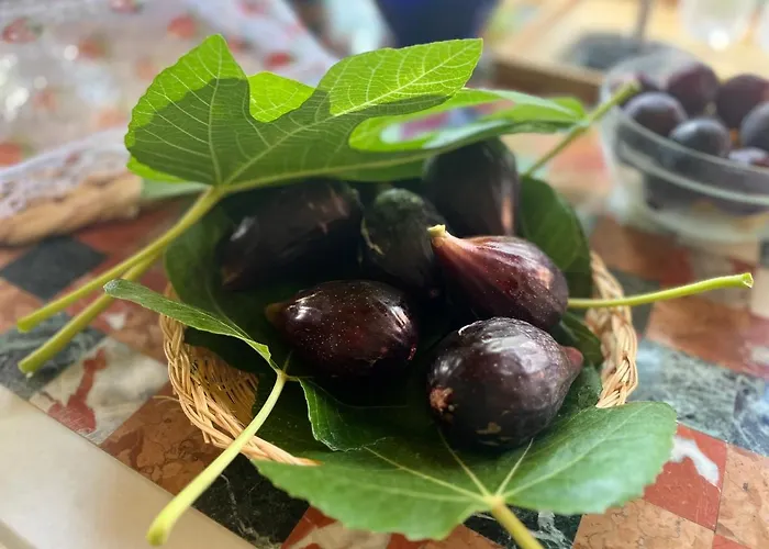 Vallely La Collina Sul Mare D'abruzzo 3*