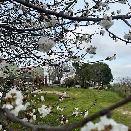 Vallely La Collina Sul Mare D'abruzzo *