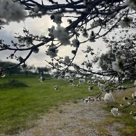 Vallely La Collina Sul Mare D'abruzzo Nocleg ze śniadaniem 3*
