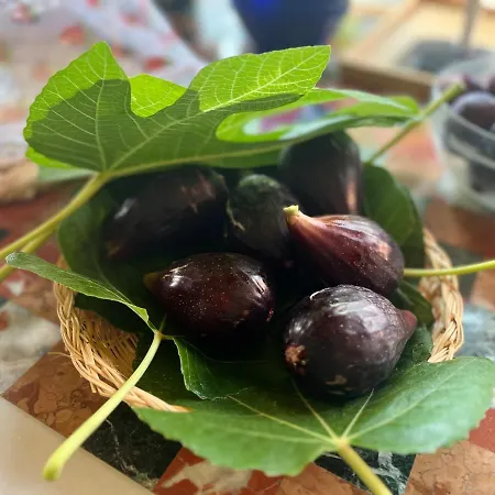 Vallely La Collina Sul Mare D'abruzzo 3*