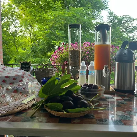 Vallely La Collina Sul Mare D'abruzzo Couette-café Francavilla Al Mare