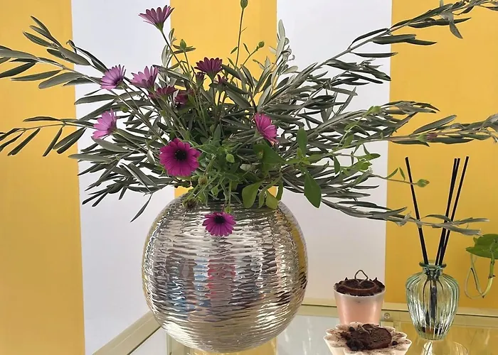 Alojamento de Acomodação e Pequeno-almoço Vallely La Collina Sul Mare D'abruzzo Francavilla Al Mare