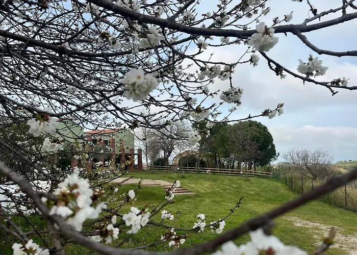 Vallely La Collina Sul Mare D'abruzzo 3*