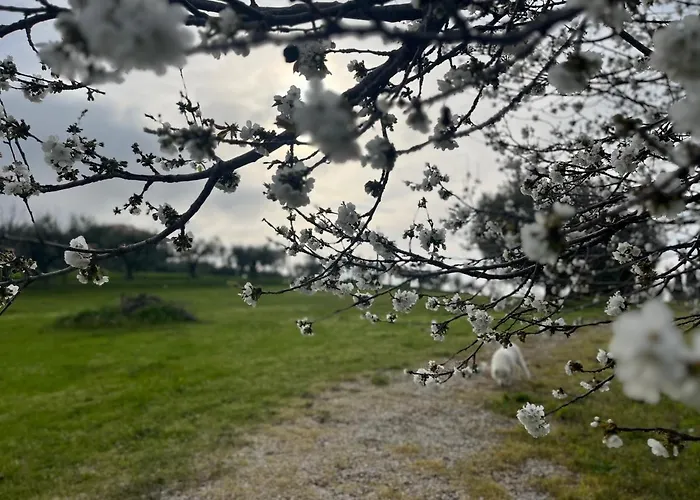 Vallely La Collina Sul Mare D'abruzzo Alojamento de Acomodação e Pequeno-almoço 3*