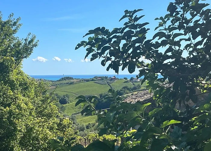 Vallely La Collina Sul Mare D'abruzzo Alojamento de Acomodação e Pequeno-almoço Francavilla Al Mare